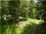 Lago Scin - Rifugio Faloria